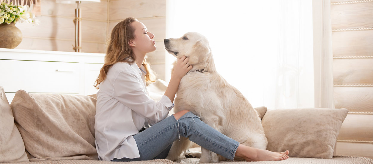 Čipovanje pasa - obaveza i dužnost vlasnika