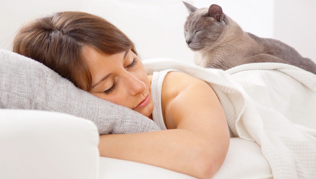 Zašto mačke spavaju na ljudima